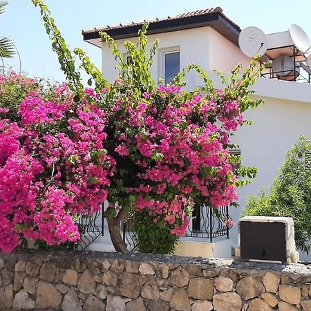 Villa Bougainvillea With Privite Pool Vasilia Zewnętrze zdjęcie