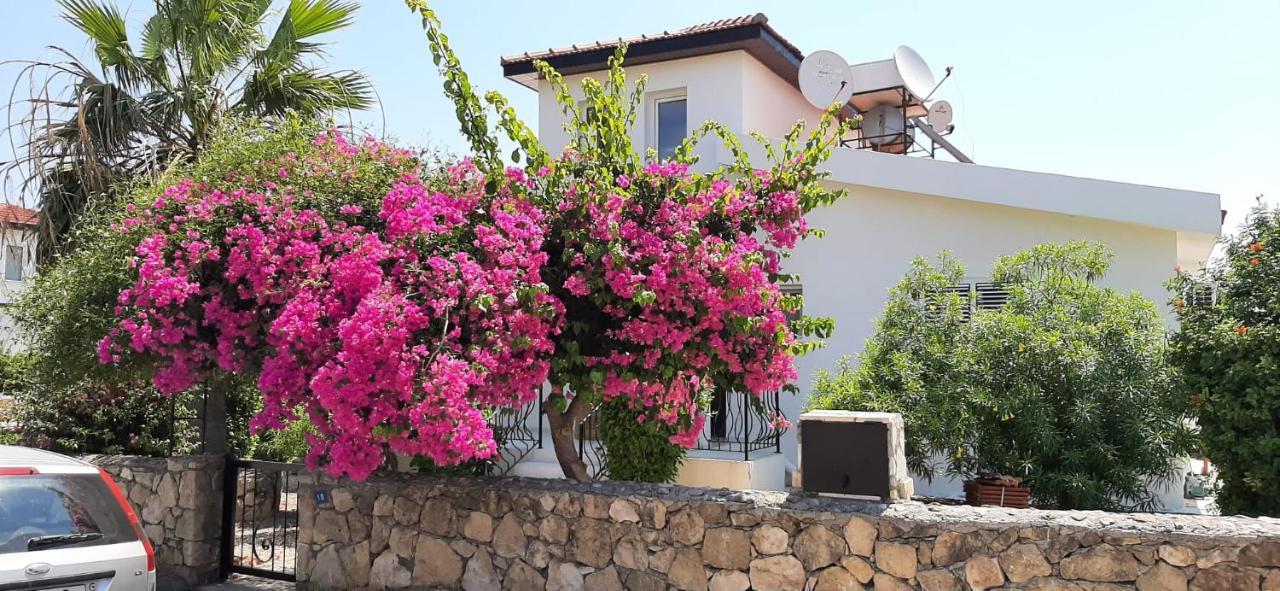 Villa Bougainvillea With Privite Pool Vasilia Zewnętrze zdjęcie